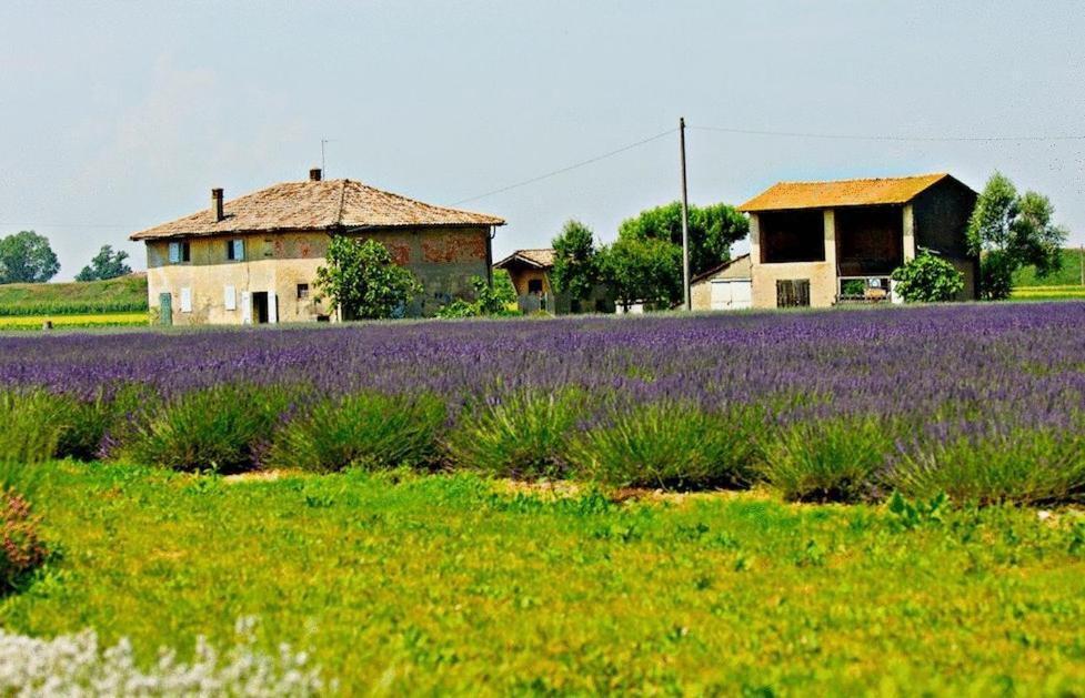 Il Murello Fiorentina المظهر الخارجي الصورة